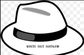 WHITE HAT HACKER