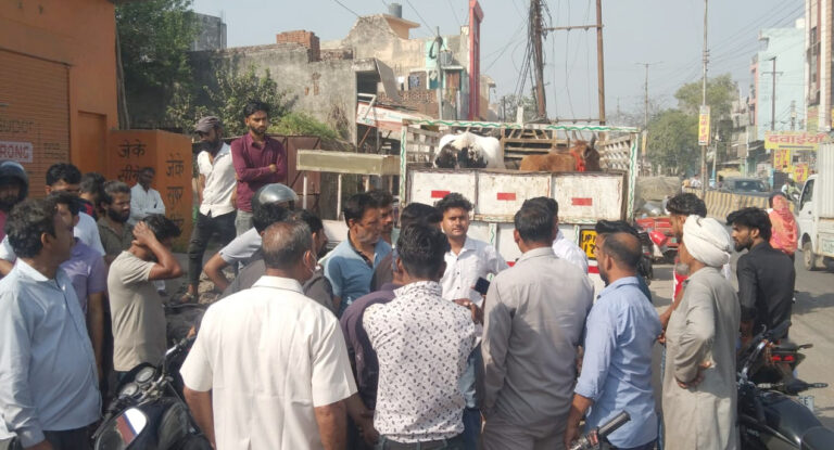 Meerut News: बागपत रोड पर गाय ले जा रहे छोटा हाथी को हिंदू संगठनों ने रोका, घंटों हंगामा; युवक थाने भेजा